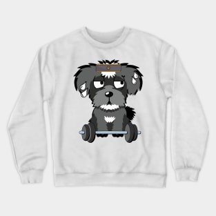 Funny schnauzer is exercising Crewneck Sweatshirt